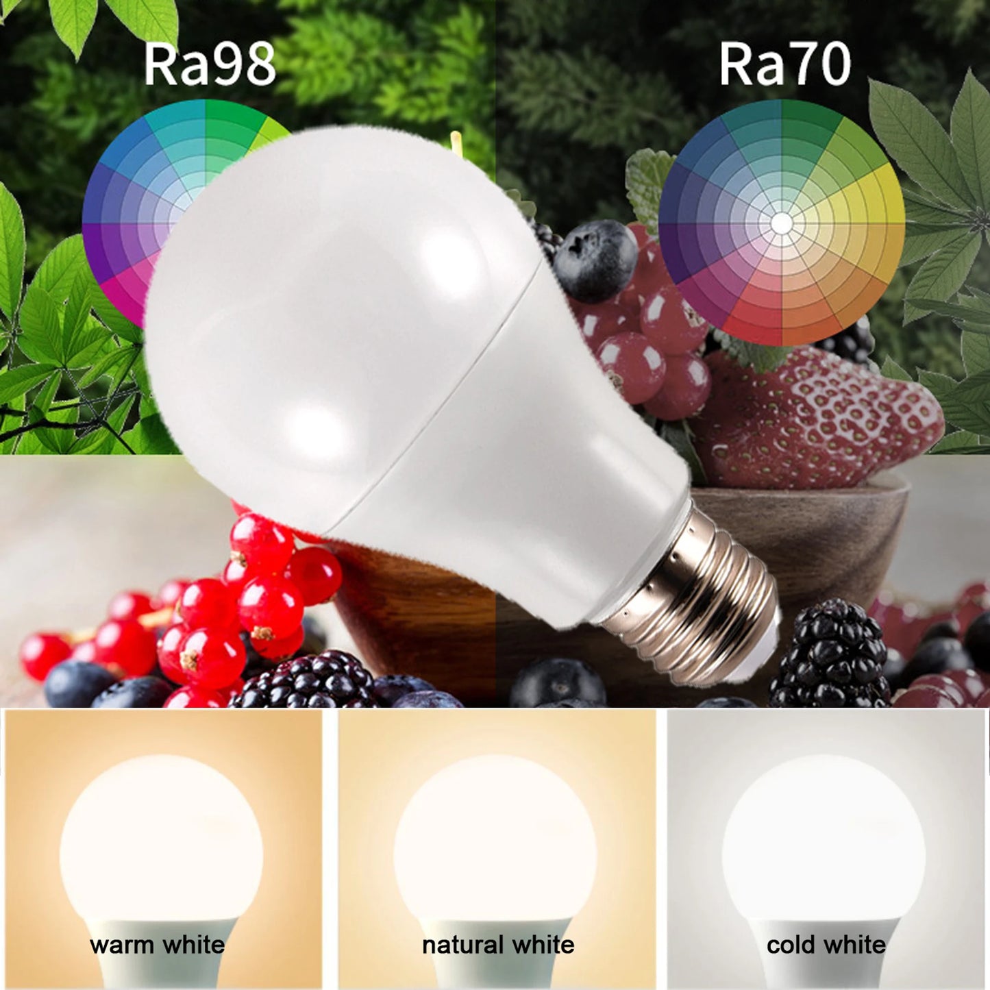 E27 Bulbs