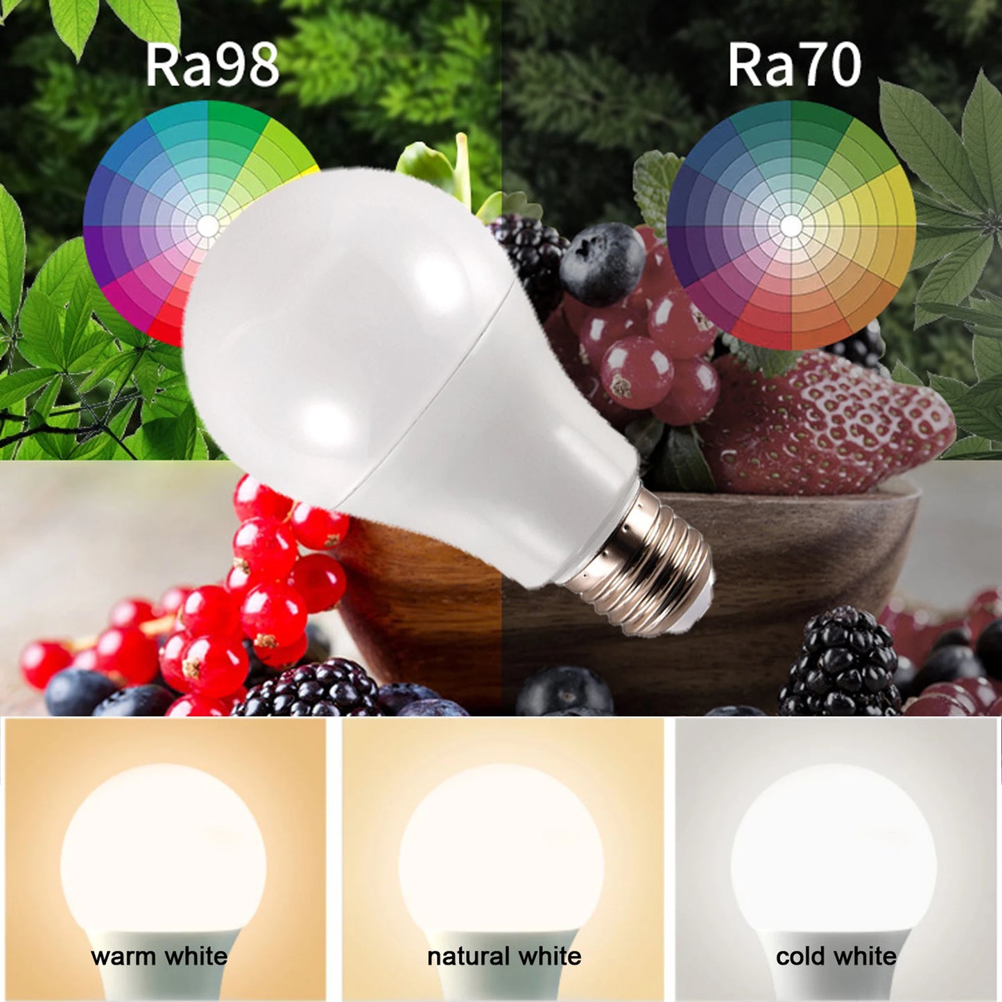 E27 Bulbs